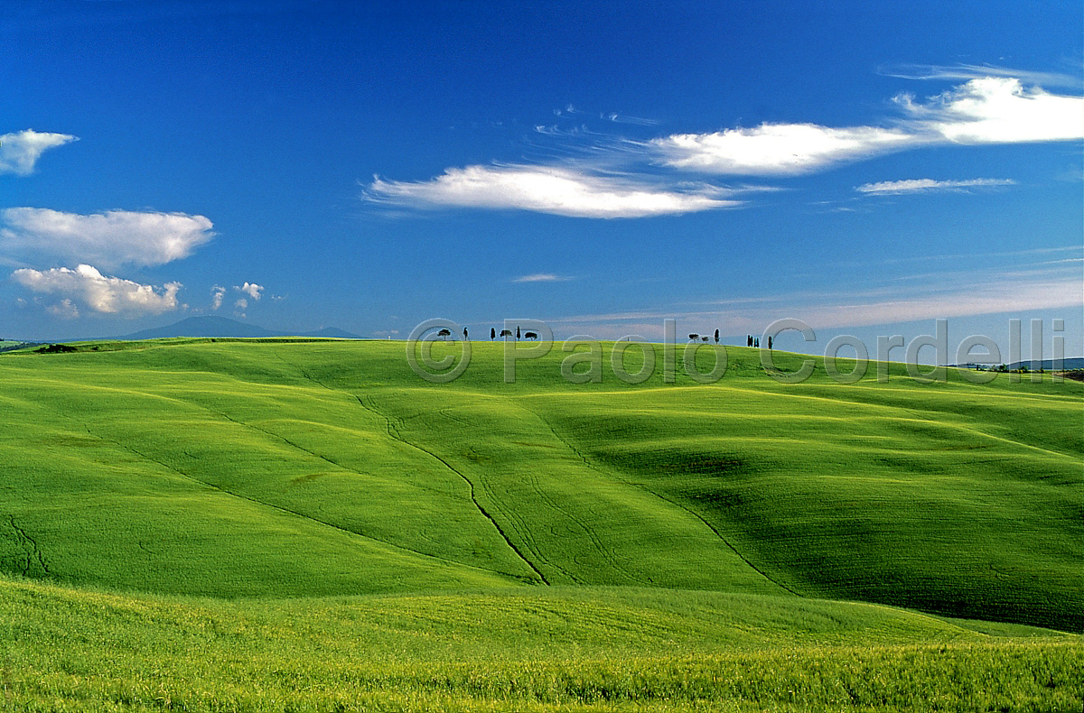 Hills, Tuscany, Italy
(cod:Tuscany 31)